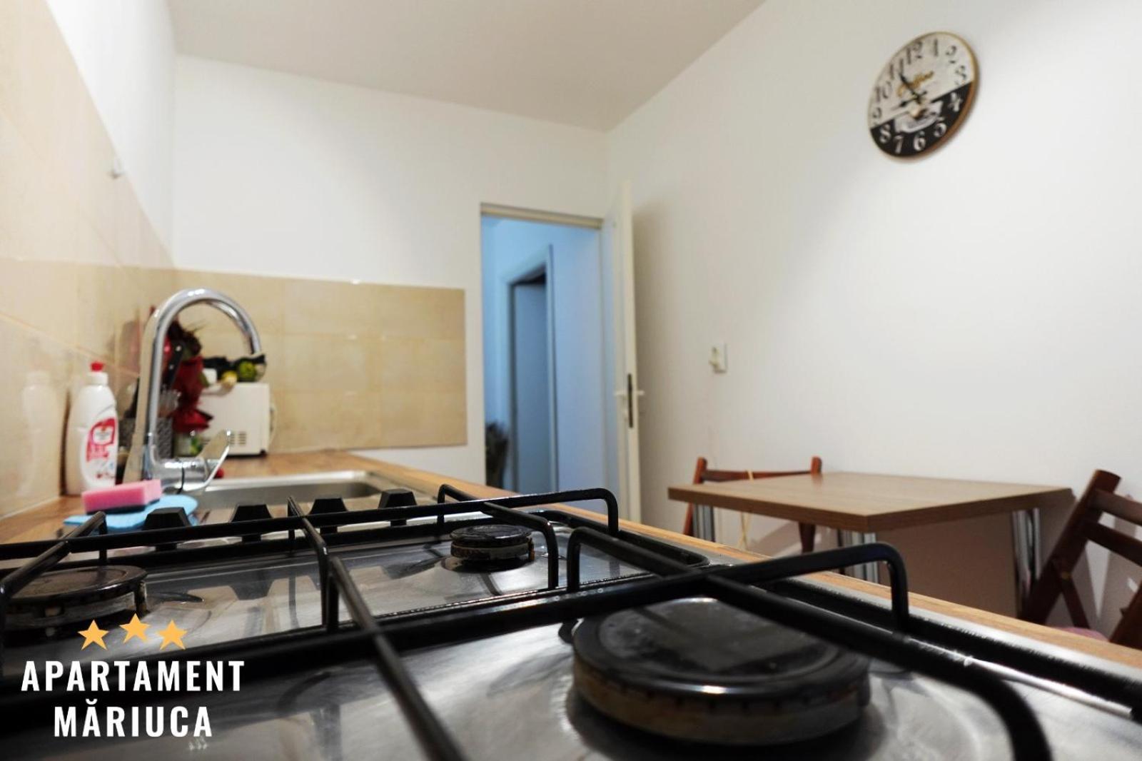 Mariuca Apartament بوستين المظهر الخارجي الصورة